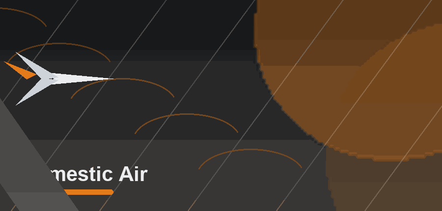 Animated Domestic Air logistics service