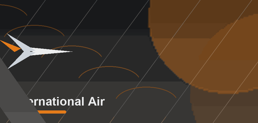 Animated International Air logistics service